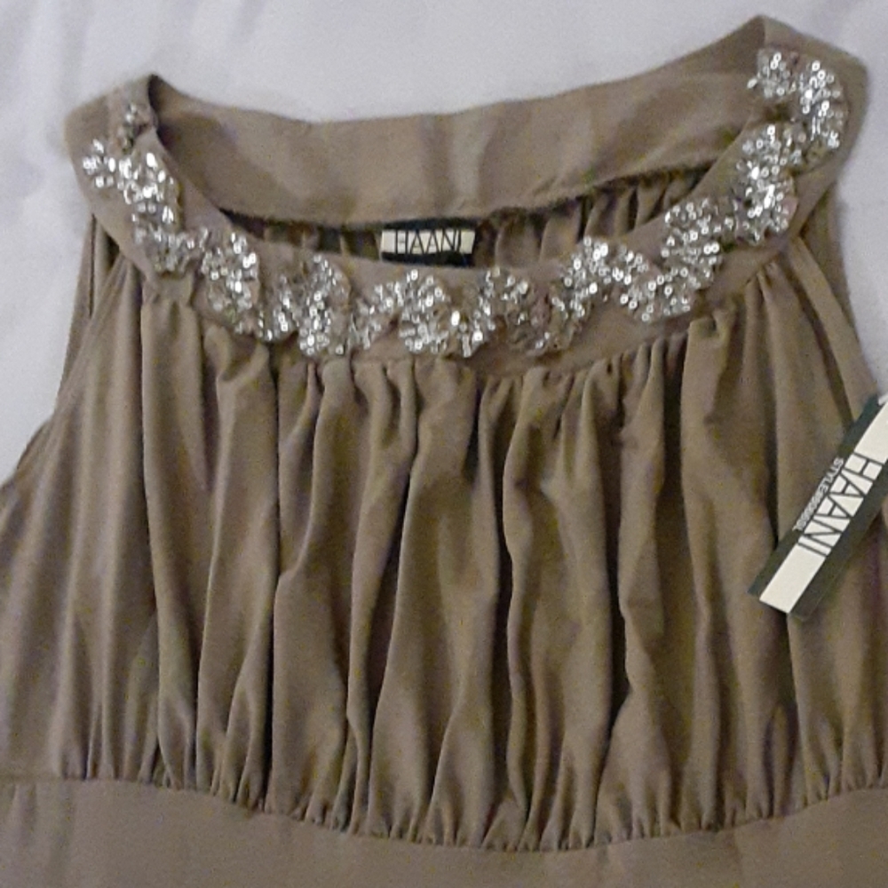 HAANI XL Sequined Brown Dress